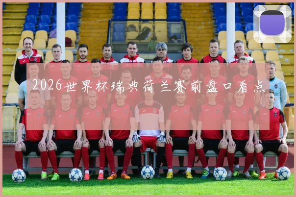 2026世界杯瑞典荷兰赛前盘口看点