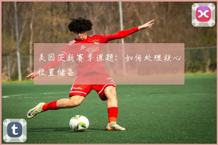美因茨新赛季课题：如何处理核心位置储备