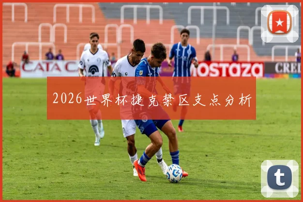 2026世界杯捷克禁区支点分析
