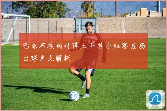 巴尔布埃纳对阵土耳其小组赛后场出球看点解析