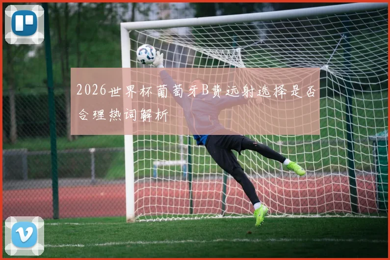 2026世界杯葡萄牙B费远射选择是否合理热词解析